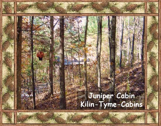 The Juniper Cabin at Kilin Tyme Cabins