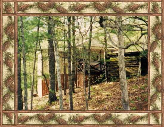 Vacation Cabins in the North Georgia Mountains