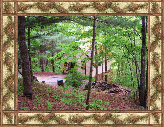 Vacation Cabins in the North Georgia Mountains