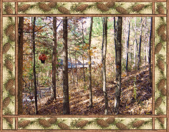 Vacation Cabins in the North Georgia Mountains