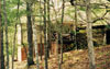 Laurel Vacation Cabin