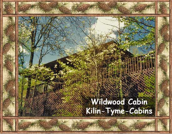The Wildwood Cabin at Kilin Tyme Cabins
