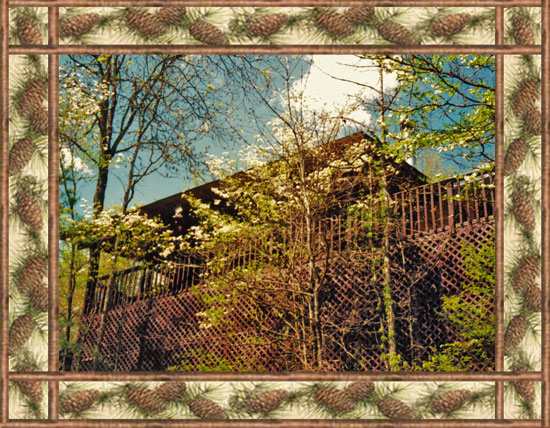 Vacation Cabins in the North Georgia Mountains